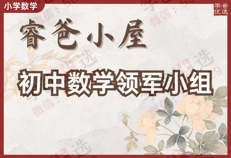【002964】【初中数学】睿爸领军小组（代数1234几何1）-学爸优选