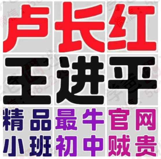 【003060】【初中数学】【加密】卢长红王进平精品小班课-学爸优选