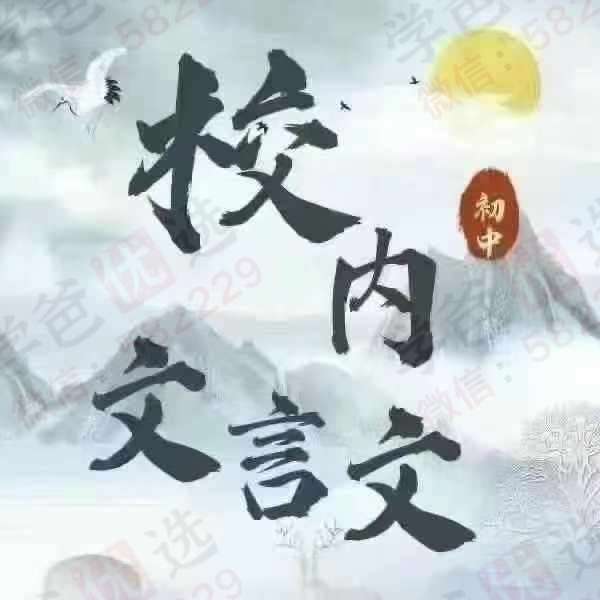 【003094】【初中语文】【加密】小灰灰：中考校内文言文考试篇目点击（24秋）-学爸优选