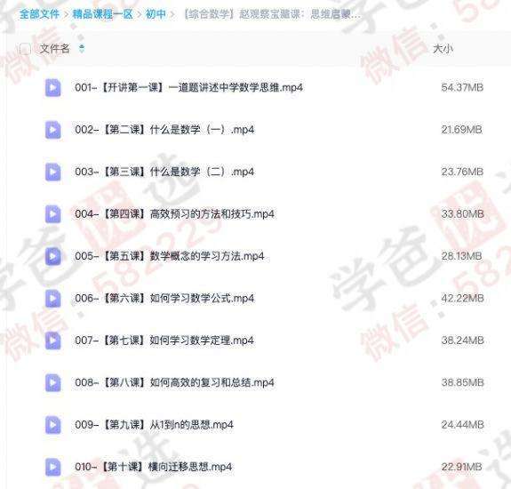 图片[3]-【001015】【综合方法】赵观察：数学思维启蒙开窍高效学习方法-学爸优选