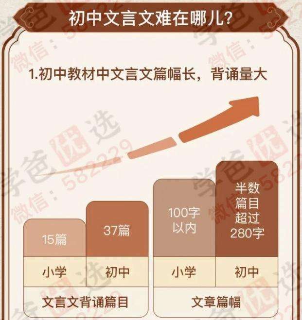 图片[2]-【000137】【初中语文】云舒写：初中必考文言文40讲-学爸优选