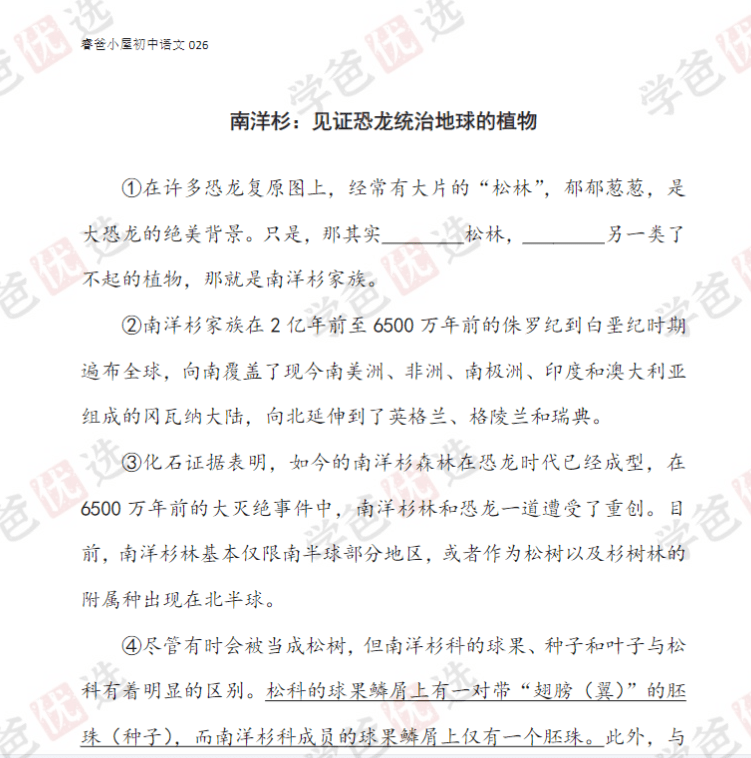 图片[11]-【002013】【初中语文】睿爸小屋：初中组阅读训练48讲（说明文散文议论文小说文言文）中考模拟试题2023全年课-学爸优选
