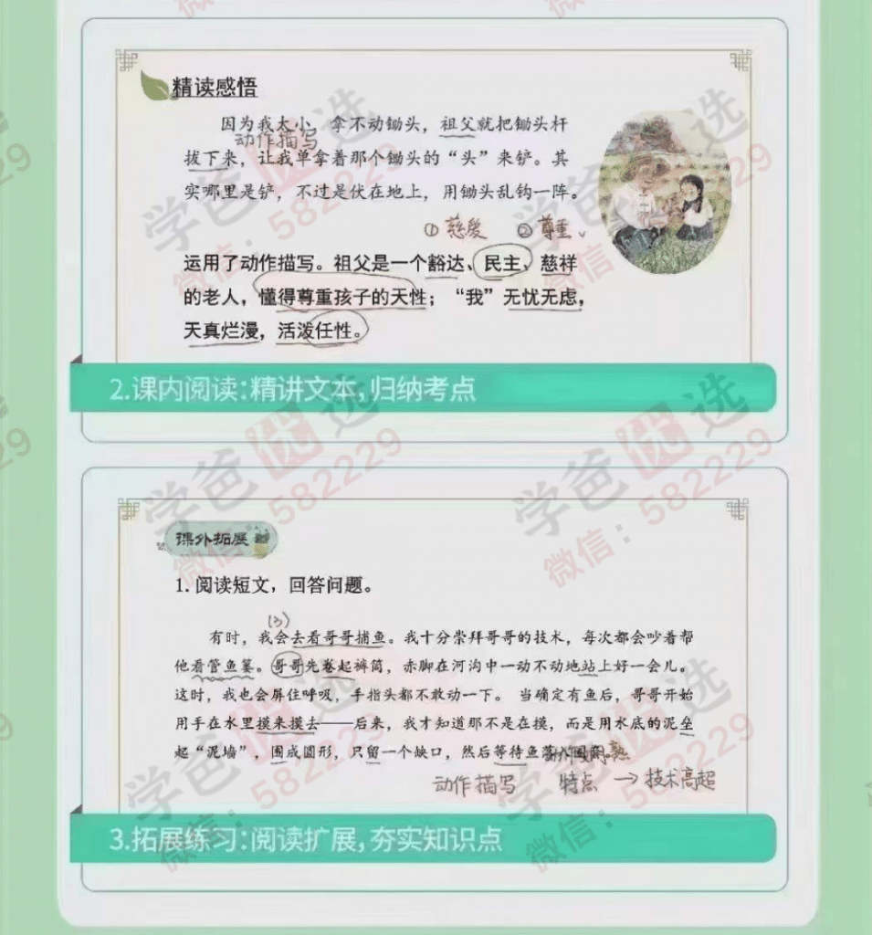 图片[4]-【002212】【小学语文】拾伍课堂：语文校内速学五年级上下册（人教版）-学爸优选