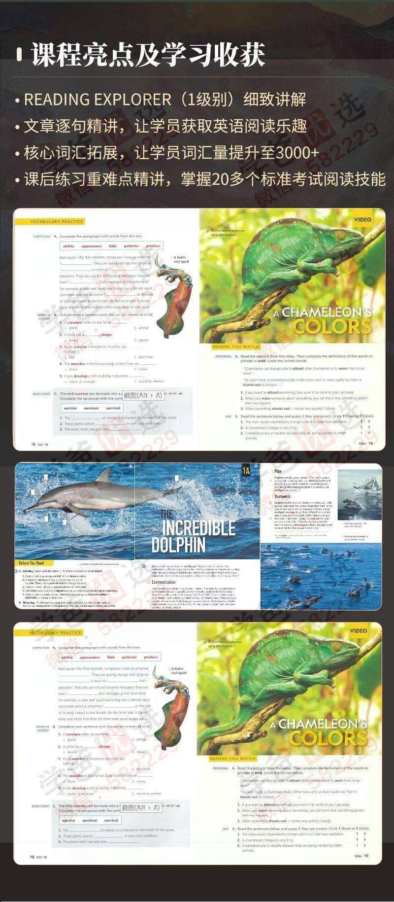 图片[4]-【002415】【综合英语】楠姐：《Reading Explorer》国家地理RE1精讲-学爸优选