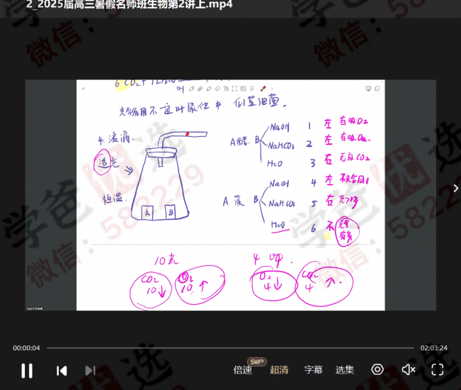 图片[3]-【002949】【高中生物】天津职卓：2025届高三暑假名师班（一轮复习）-学爸优选