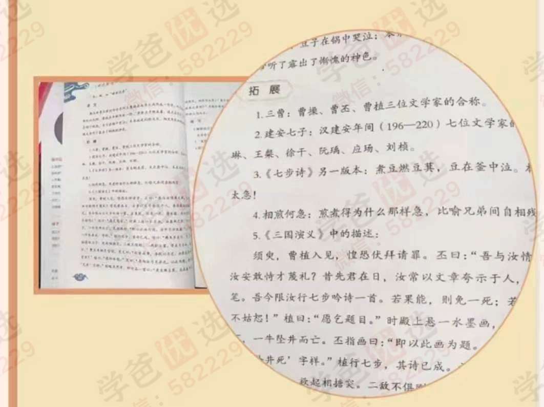 图片[6]-【003096】【综合语文】【加密】徐子曰《世说新语》选读精讲精练-学爸优选