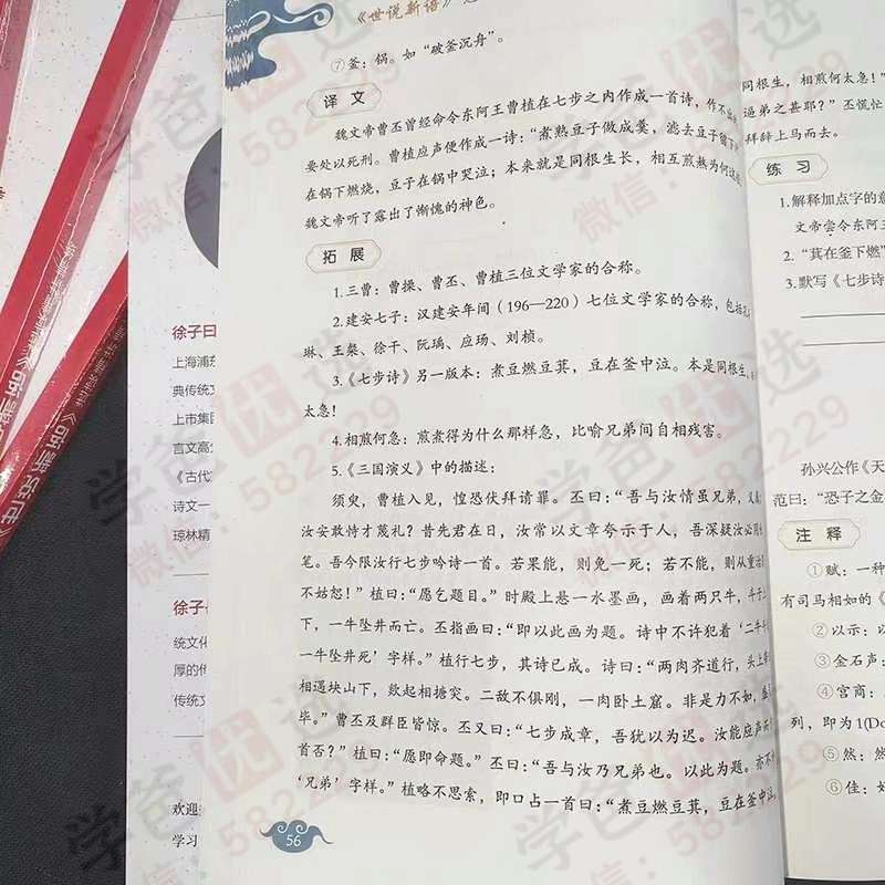 图片[7]-【003096】【综合语文】【加密】徐子曰《世说新语》选读精讲精练-学爸优选