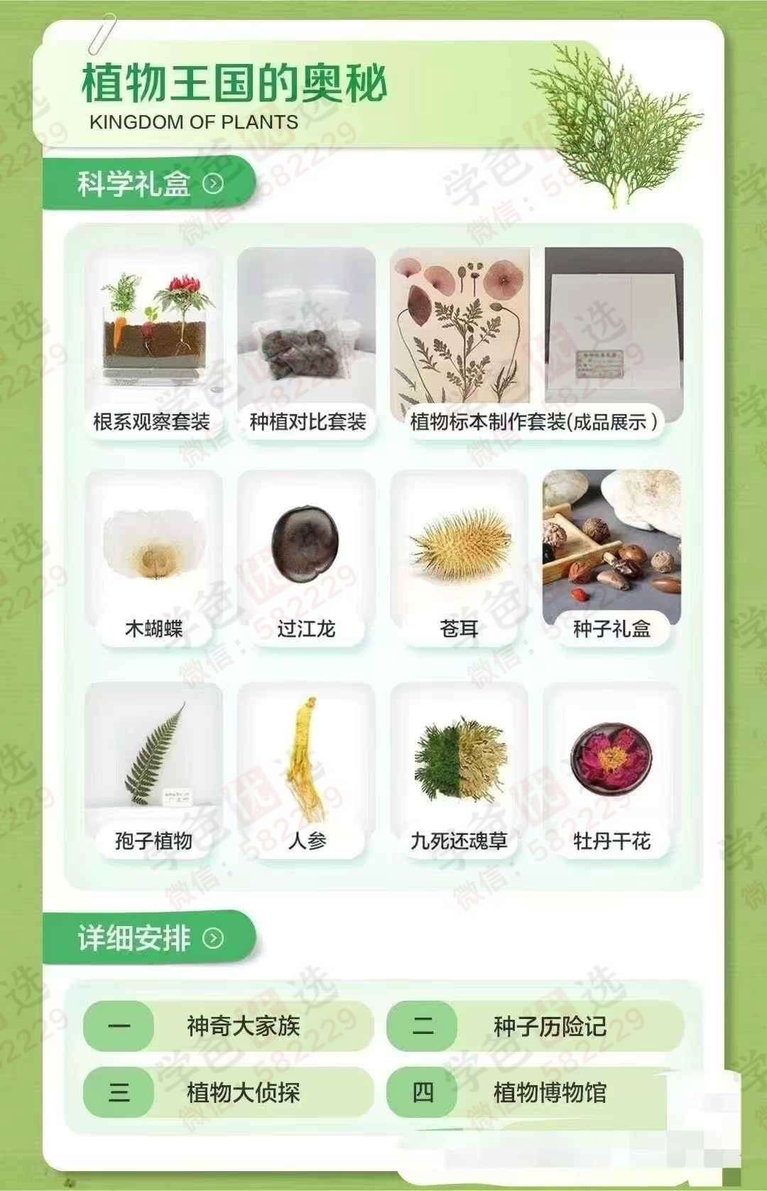 图片[4]-【003102】【综合百科】【加密】学而思自然博物全年—14个主题科学（张丹博士）-学爸优选