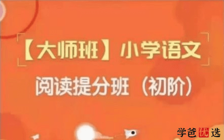 【000380】【小学语文】朴新网校大师班：阅读提分班（初阶）王塞-学爸优选
