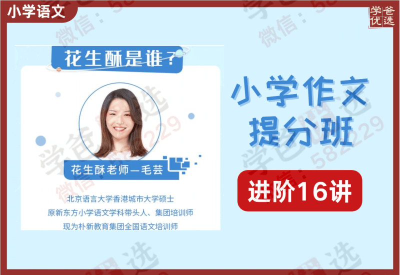 【000383】【小学语文】朴新网校大师班：毛芸（花生酥）小学作文提分班高阶-学爸优选