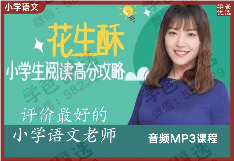 【000385】【小学语文】【音频】朴新网校：毛芸（花生酥）阅读高分攻略-学爸优选