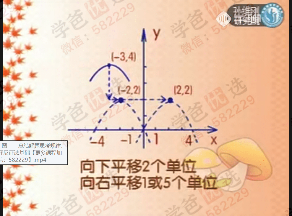 图片[7]-【000038】【初中数学】孙维刚：初中数学经典辅导全套（孙老原版）-学爸优选