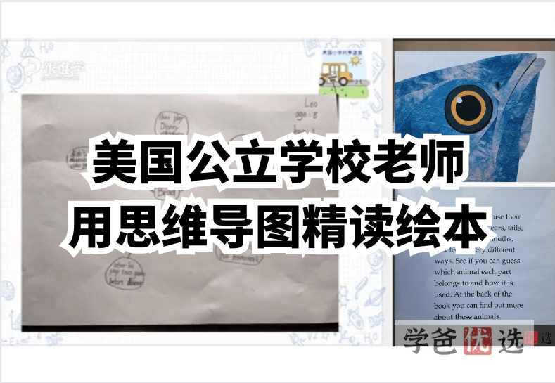 【000515】【综合英语】思维导图精读儿童绘本（美国公立学校老师）-学爸优选