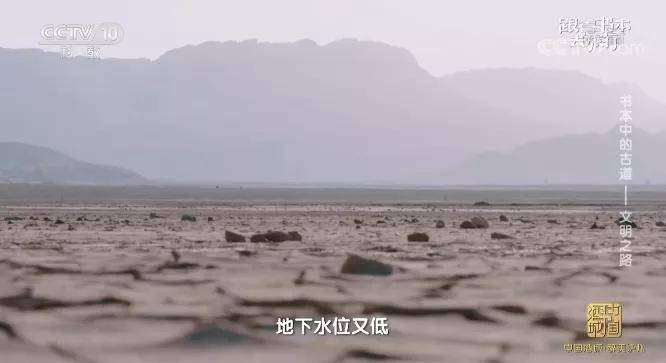 图片[9]-【000454】【综合影视】央视CCTV《跟着书本去旅行》-学爸优选