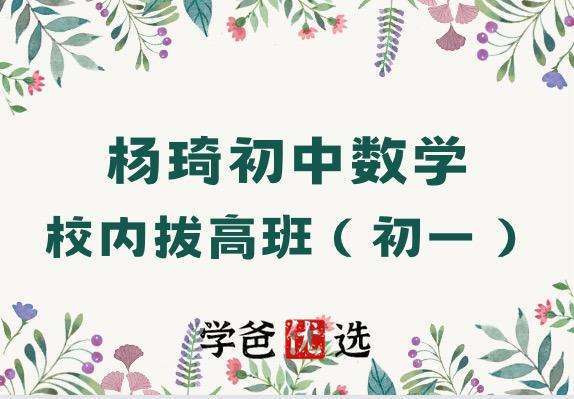 【000061】【初中数学】杨琦：七年级初一数学校内拔高班-学爸优选