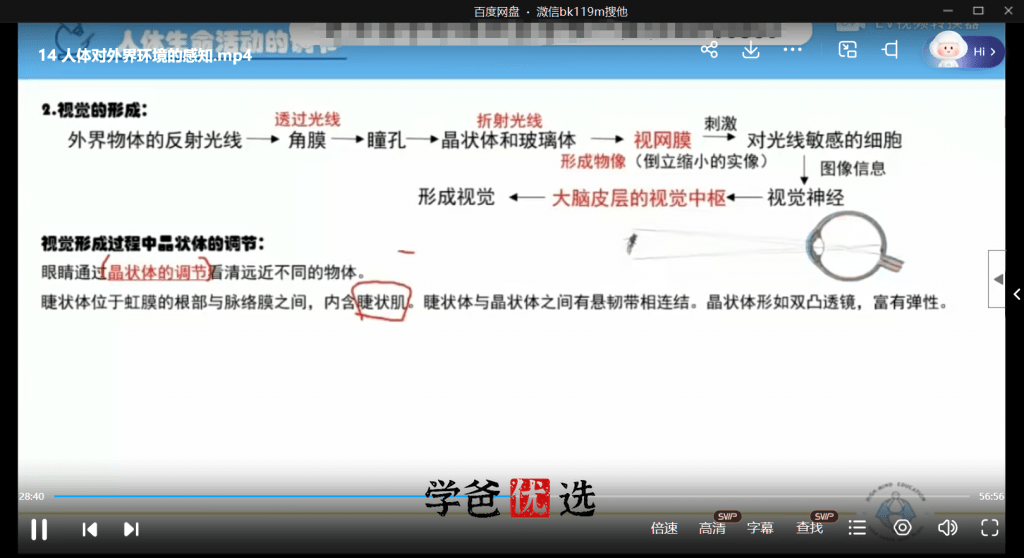 图片[4]-【000719】【初中生物】海曼小四门：七年级初一生物-学爸优选