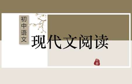 【003362】【初中语文】北辰课堂：初中现代文阅读-学爸优选