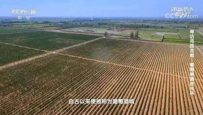 图片[8]-【000454】【综合影视】央视CCTV《跟着书本去旅行》-学爸优选