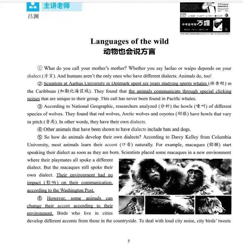 图片[7]-【003247】【初中英语】21世纪英文报：攻克中考英语阅读-学爸优选