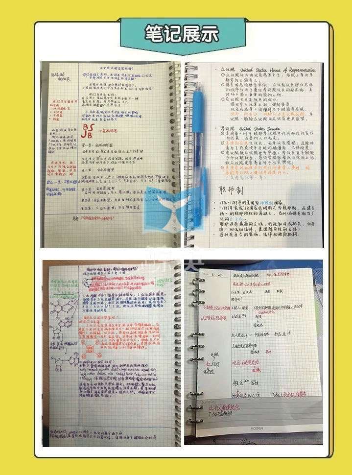 图片[3]-【000423】【综合方法】复旦教授手把手教你做笔记（小学到初中）-学爸优选