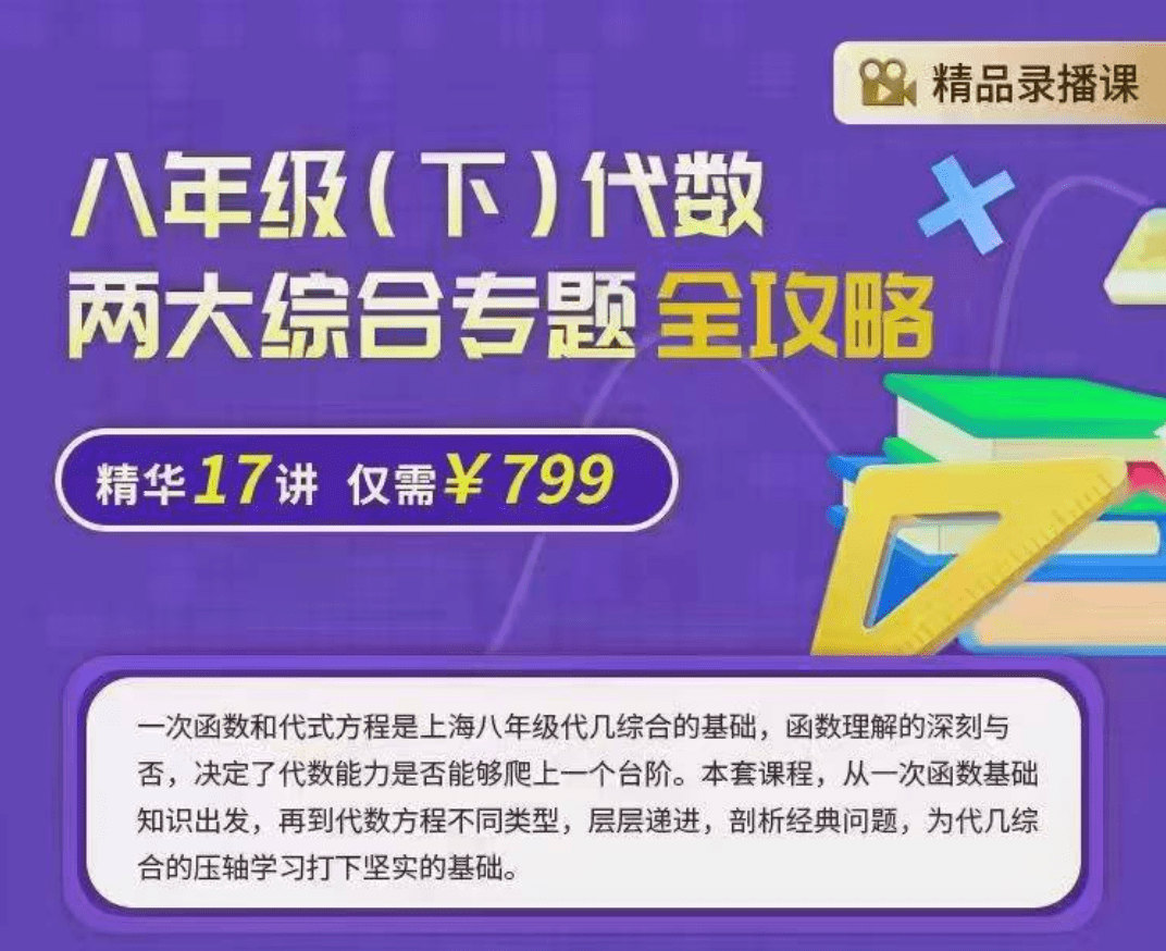 【003180】【初中数学】上海笔笔逗：八年级下册《代数两大综合专题全攻略》-学爸优选