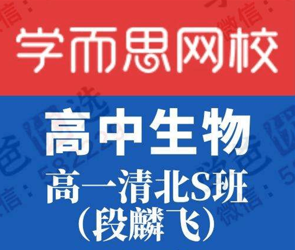 【000191】【高中生物】学而思培优：高一生物目标S班（段麟飞）-学爸优选