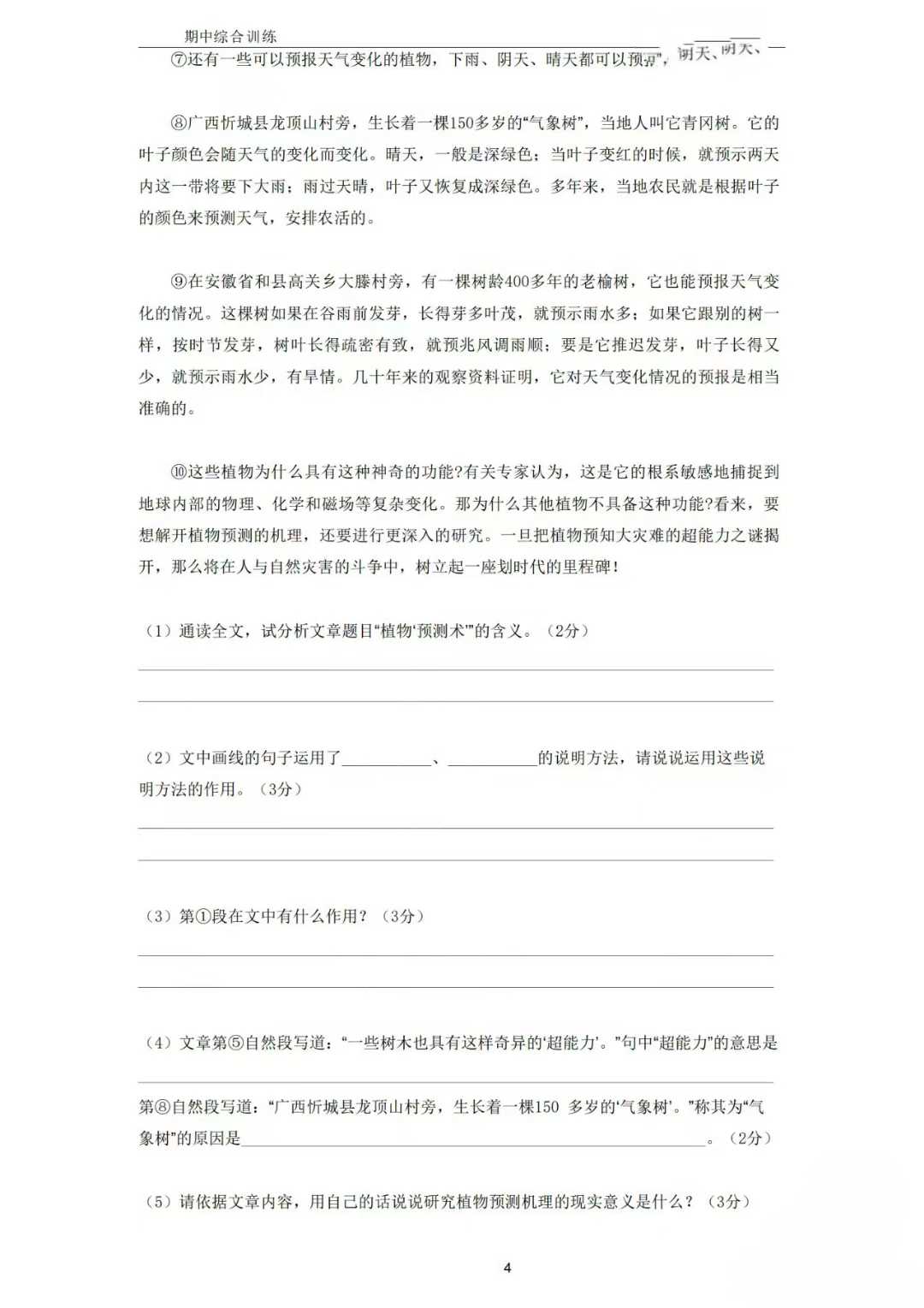图片[6]-25春  语文期中复习（六、七年级）🦄上课老师：大鲨鱼老师：大鲨鱼老师，长期从事初中语文教学工作。对中考题型-学爸优选