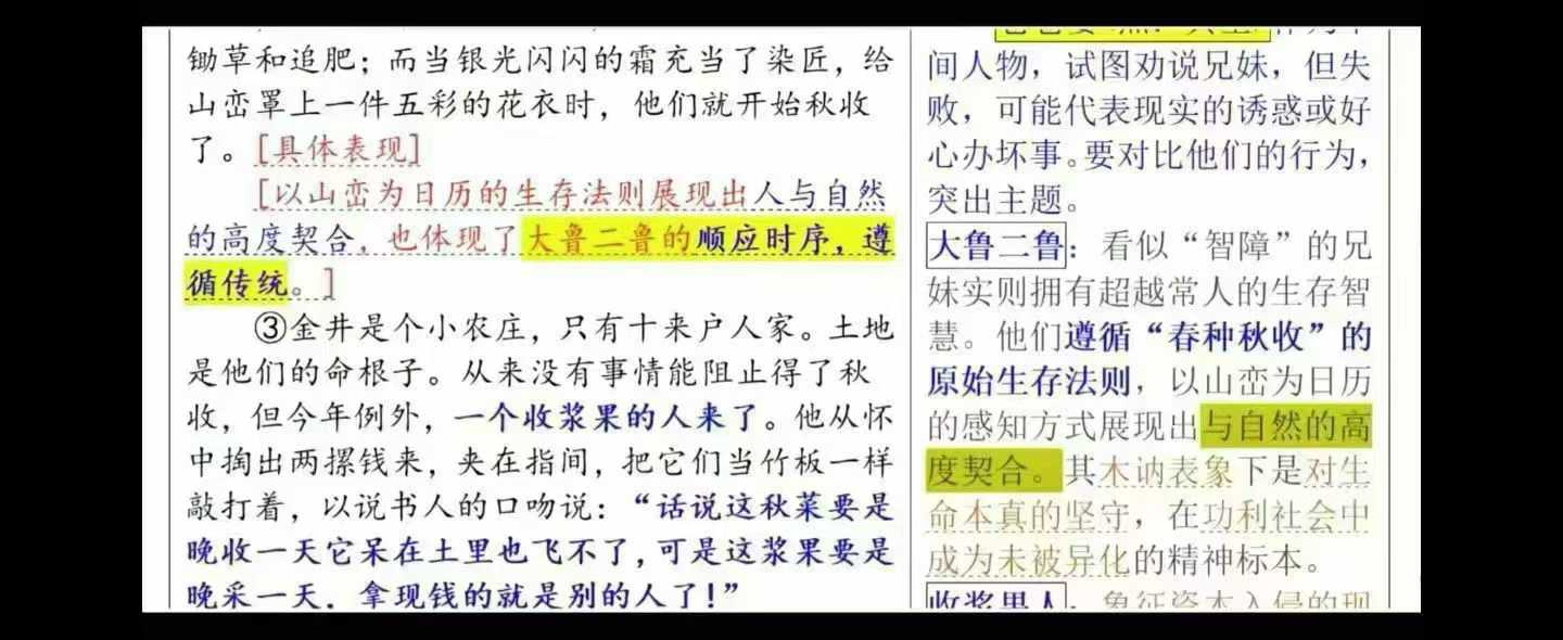 图片[4]-【高中语文】小胖高考二模语文2025：涵盖现代文、古诗文、作文、诗歌鉴赏、综合运用华二小胖老师授课上海13个区，分板块1-2小时-学爸优选