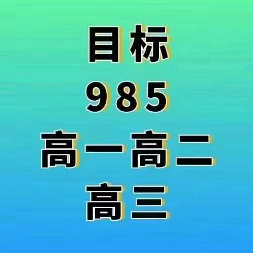 【高中数学】质心985班高一高二高三（22-24年绝版好课）官网40000+-学爸优选